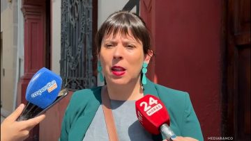 10122511 DECLARACIONES CONSTANZA MARTÍNEZ 01 (1)