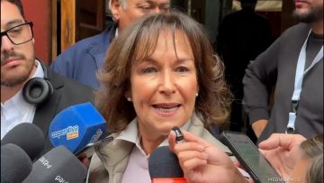 14122528 DECLARACIONES ALEJANDRA KRAUSS 01