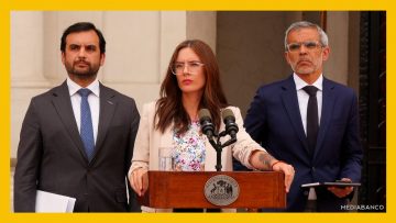 16122509 DECLARACIONES VOCERA DE GOBIERNO CAMILA VALLEJO DEST