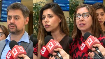 161225C13 DECLARACIONES DIPUTADOS MANOUCHEHRI, CICARDINI Y TELLO 01 (1)