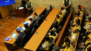 19122507 APOYOS FORMALIZACIÔN CASO GENDARMES 10