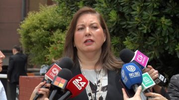 21122507 DECLARACIONES PAULINA VODANOVIC 01