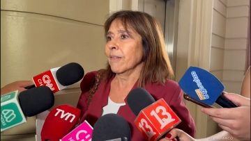 23122408 DECLARACIONES ABOGADA MARIA INES HORVITZ 05 (1)
