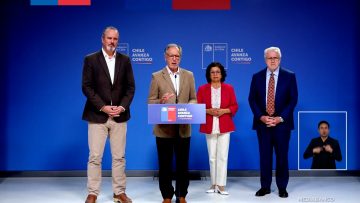 2312509 ESTRATEGIA NACIONAL DEL LITIO 13