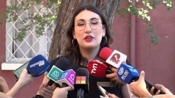 28122504 DECLARACIONES DIPUTADA FA EMILIA SCHNEIDER 01