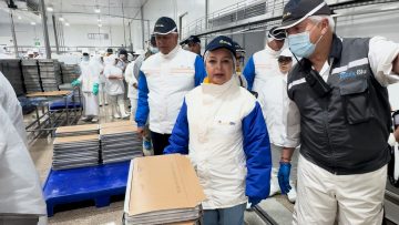 WhatsApp Image 2025-12-05 at 12.03.29