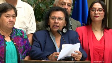 050126C01 DECLARACIONES DIPUTADA LORENA PIZARRO 01