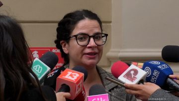 06012613 DECLARACIONES MINISTRA ORELLANA 01 (1)