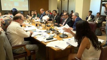 060126C08 APOYOS COMISIÓN DE CONSTITUCIÓN DEL SENADO 01