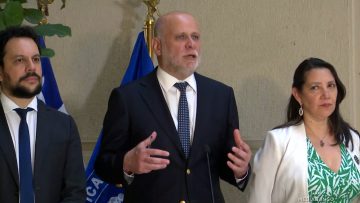 060126C12 DECLARACIONES MINISTROS ELIZALDE Y LOBOS 01