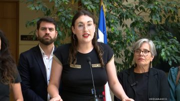 130126C05 DECLARACIONES DIPUTADOS FRENTE AMPLIO 01