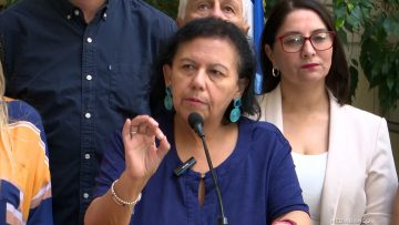 130126C06 DECLARACIONES DIPUTADA LORENA PIZARRO 01