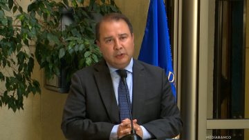 130126C11 DECLARACIONES DIPUTADO FRANK SAUERBAUM 01