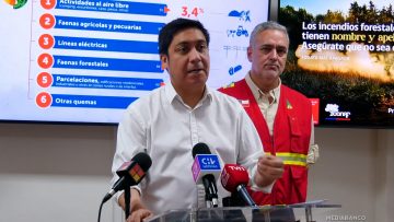 14012603 PRINCIPALES CAUSAS DE LOS INCENDIOS 01