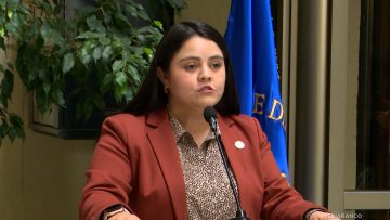 140126C10 DECLARACIONES DIPUTADA CONCHA 01 (1)