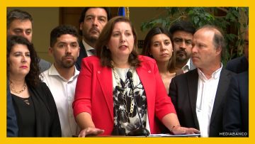 140126C12 PRESIDENTE DEL PS Y BANCADA DEST