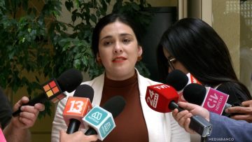 140126C18 DECLARACIONES DIPUTADA CARIOLA 01