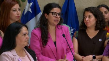 140126C19 DECLARACIONES MINISTRA ORELLANA 01