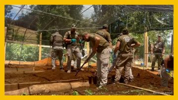 15012512 BÚSQUEDA DE JULIA CHUÑIL DEST (1)