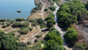 17012609 HUMEDAL URBANO RÍO MAPOCHO 01