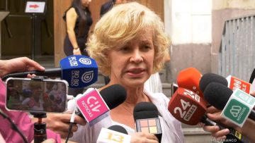 19012626 APOYO CATALINA PAROT 01