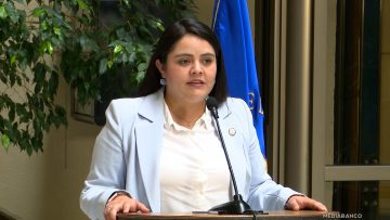 200126C03 DECLARACIONES DIPUTADA SARA CONCHA 01 (1)