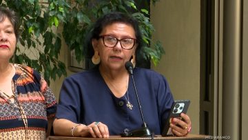 210126C08 DECLARACIONES DIPUTADA PIZARRO 01