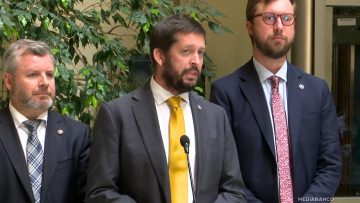 210126C10 DECLARACIONES DIPUTADOS REPUBLICANOS 01 (2)