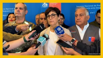 210126CONCE01 COGRID CONCEPCIÓN DEST