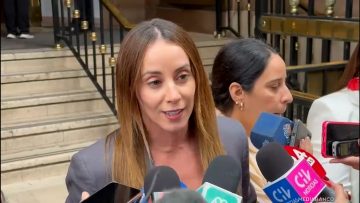 26012609 DECLARACIONES MARA SEDINI 01