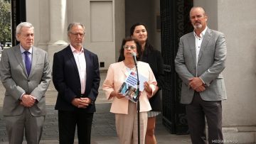 27012608 ESTRATEGIA NACIONAL DE MINERALES CRÍTICOS 01 (1)