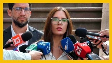 28012602 DECLARACIONES DE LA MINISTRA VALLEJO Y EL MINISTRO BOCCARDO DEST