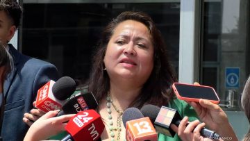 30012619 DECLARACIONES DE LUPI AGUIRRE 01