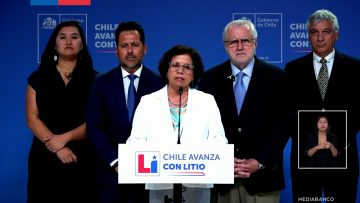 12022609 DECLARACIONES MINISTRA AURORA WILLIAMS 01 (1)