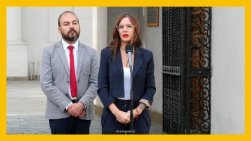 25022615 DECLARACIONES MINISTRA VALLEJO DEST