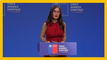 03032612 VOCERÍA MINISTRA VALLEJO DEST