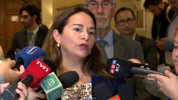 030326C07 DECLARACIONES DIPUTADA JOANNA PERÉZ 01