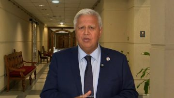 040326C05 DECLARACIONES SENADOR SAAVEDRA 01