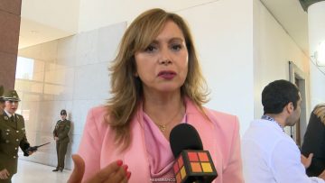 110326CAMBIO66 DECLARACIONES LORETO CARVAJAL 01