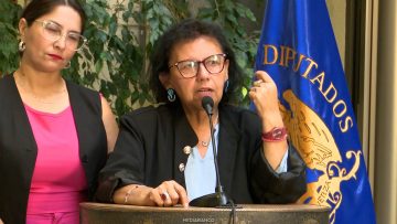 170326C01 DIPUTADA PIZARRO POR NEGOCIACIÓN RAMAL 01 (3)