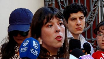 18032607 DECLARACIONES CONSTANZA MARTÍNEZ 01 (1)