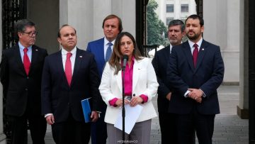 20032612 COMITÉ ESTRATÉGICO DE AUDITORÍA Y REVISIÓN FISCAL DEL GOBIERNO 12