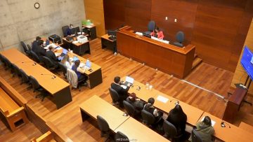 23032606 APOYOS FORMALIZACIÓN CASO LICENCIAS MÉDICAS 01 (1)