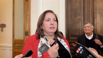 23032629 DECLARACIONES PAULINA VODANOVIC 01