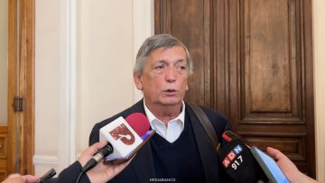 23062628 DECLARACIONES LAUTARO CARMONA 01