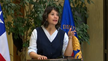 240326C02 DECLARACIONES DIPUTADA ERICA ÑANCO 01 (1)