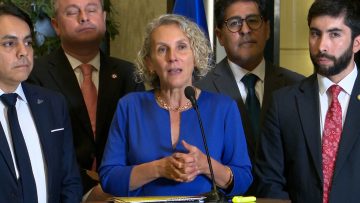 250326C03 DECLARACIONES DIPUTADA PRISCILLA CASTILLO 05