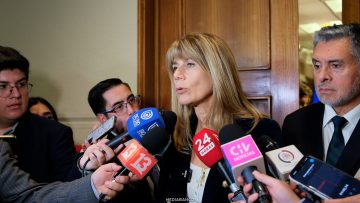 250326C18 DECLARACIONES MINISTRA DE ENERGÍA 01