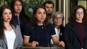 250326C22DECLARACIONES DIPUTADA CONSTANZA SCHONHAUT 08