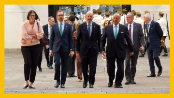 26032605 APOYO LLEGADA PEDRO ROLLÁN DEST